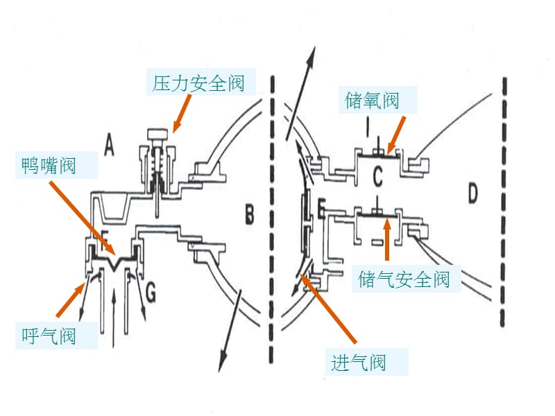 《复苏囊的使用》PPT课件_第5页