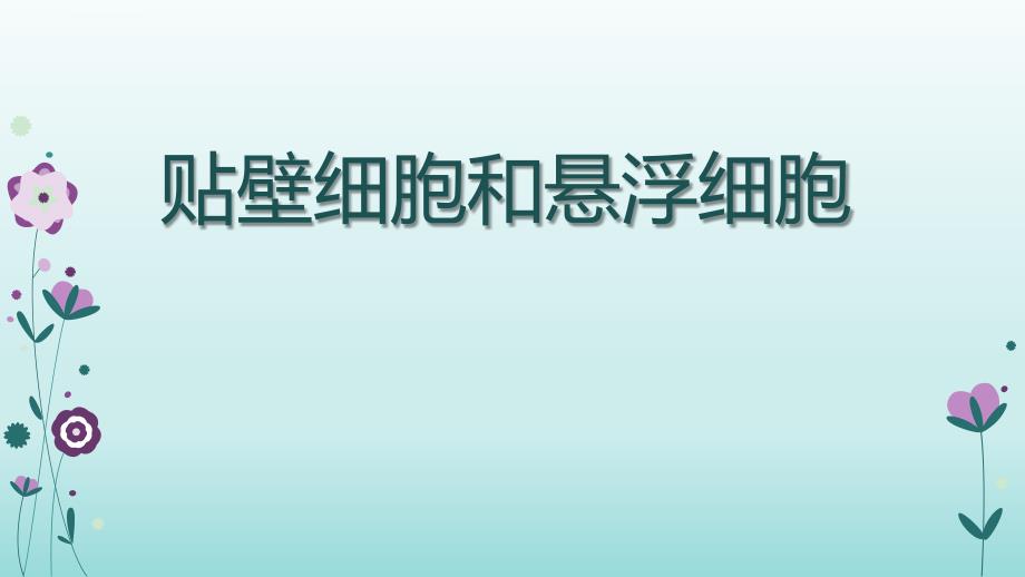 贴壁细胞和悬浮细胞课件_第1页