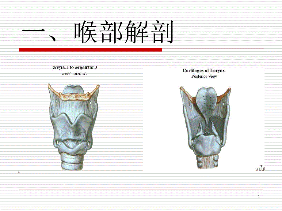 气管插管教学（课堂PPT）_第1页