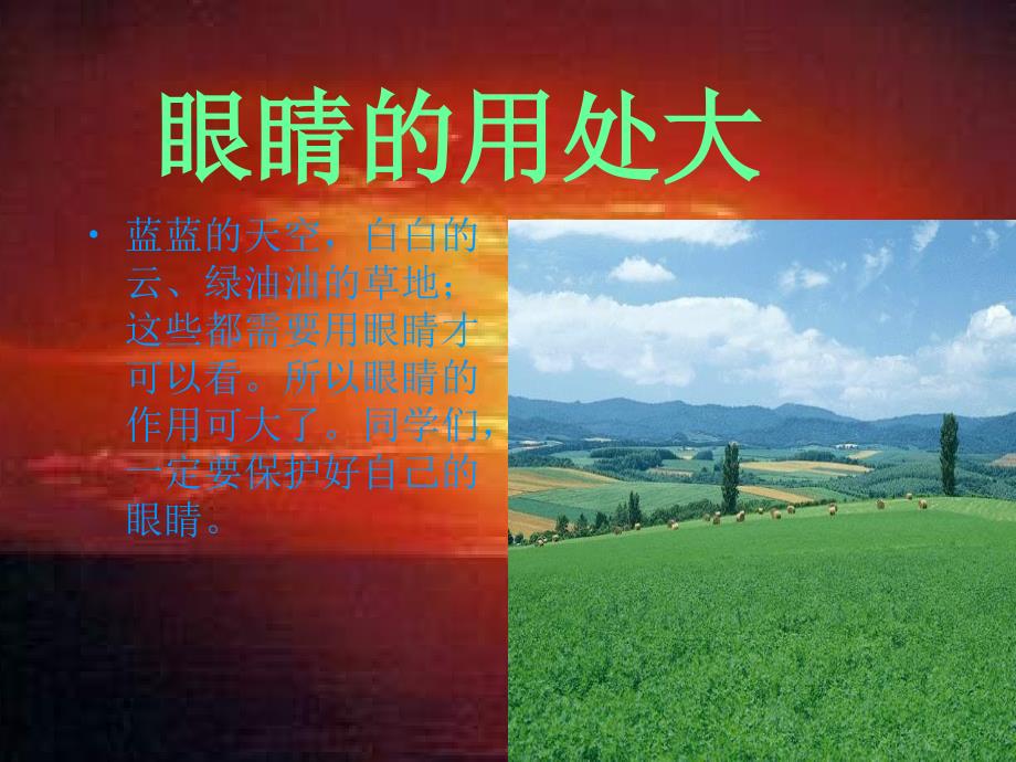 《呵护眼睛,从小做起》课件.ppt_第3页