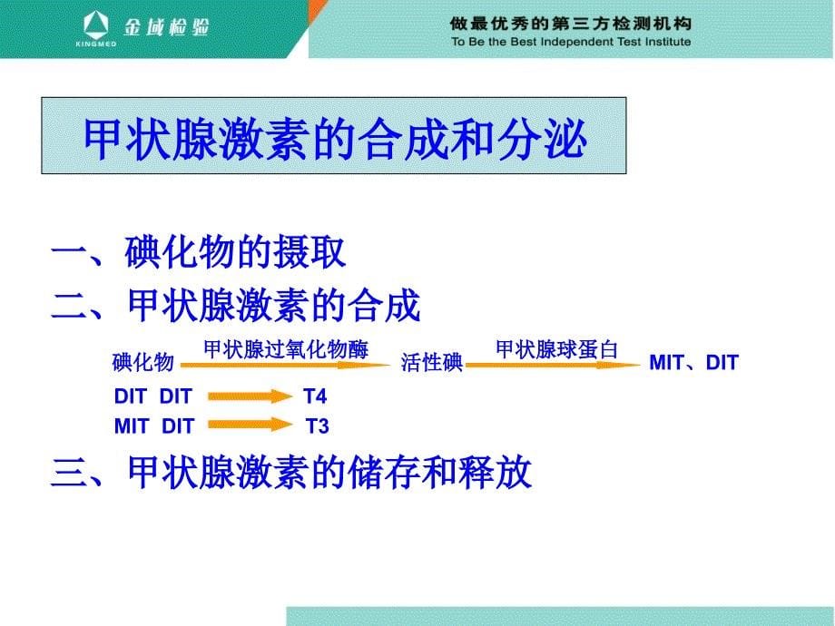 甲状腺的生理功能（课堂PPT）_第5页