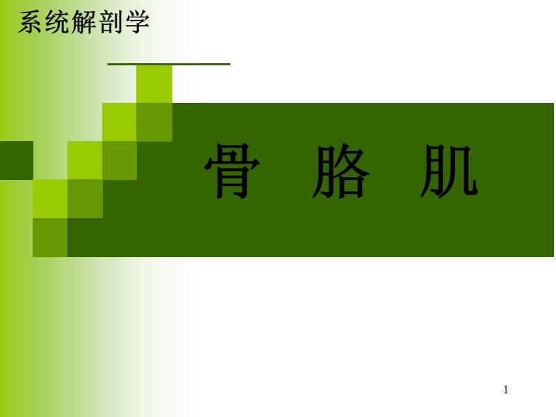 系统解剖学运动系统肌学PP（课堂PPT）_第1页