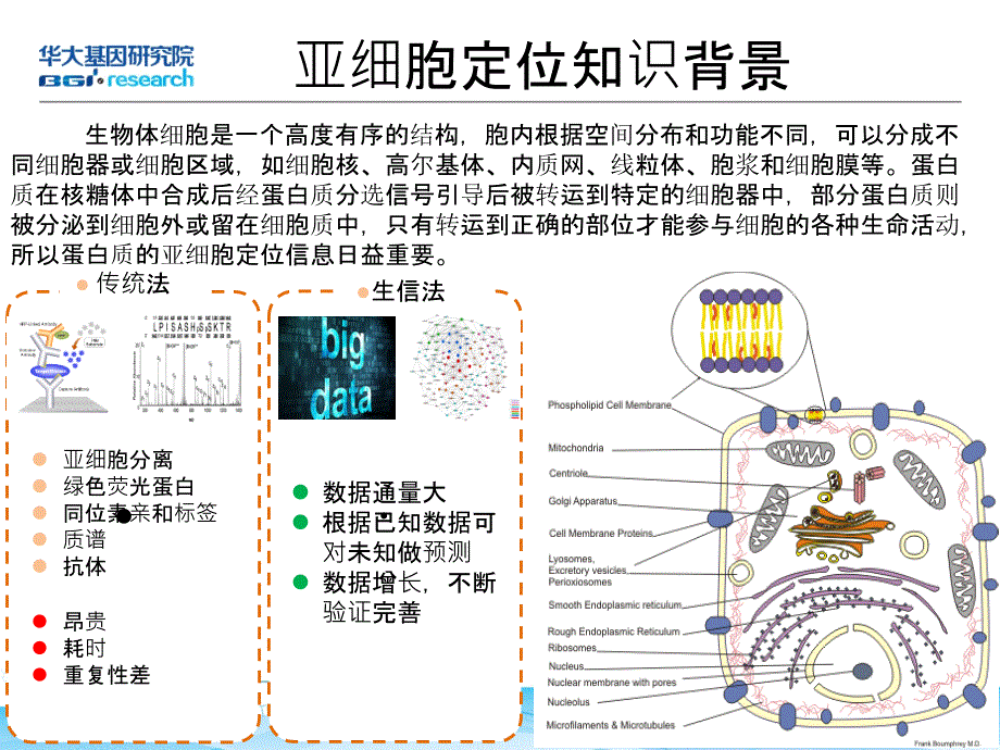 亚细胞定位.ppt_第3页