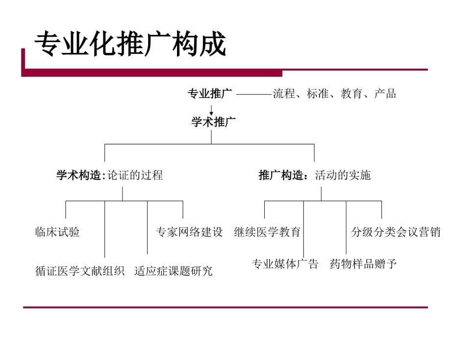 中国特色专业推广模式精编版_第5页