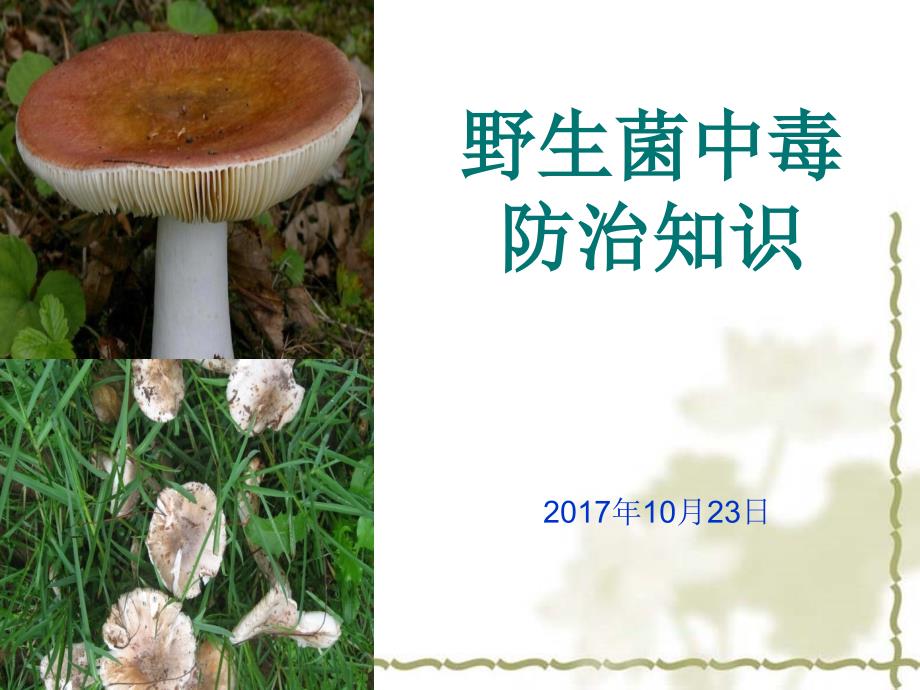 野生菌中毒预防知识._第1页