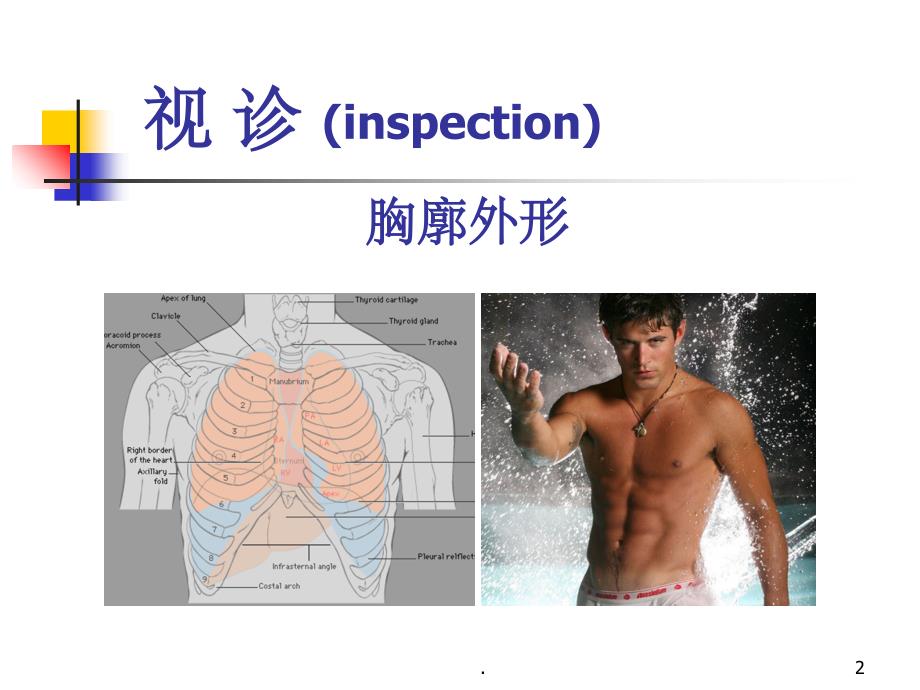 《肺部阳性体征》PPT课件_第2页
