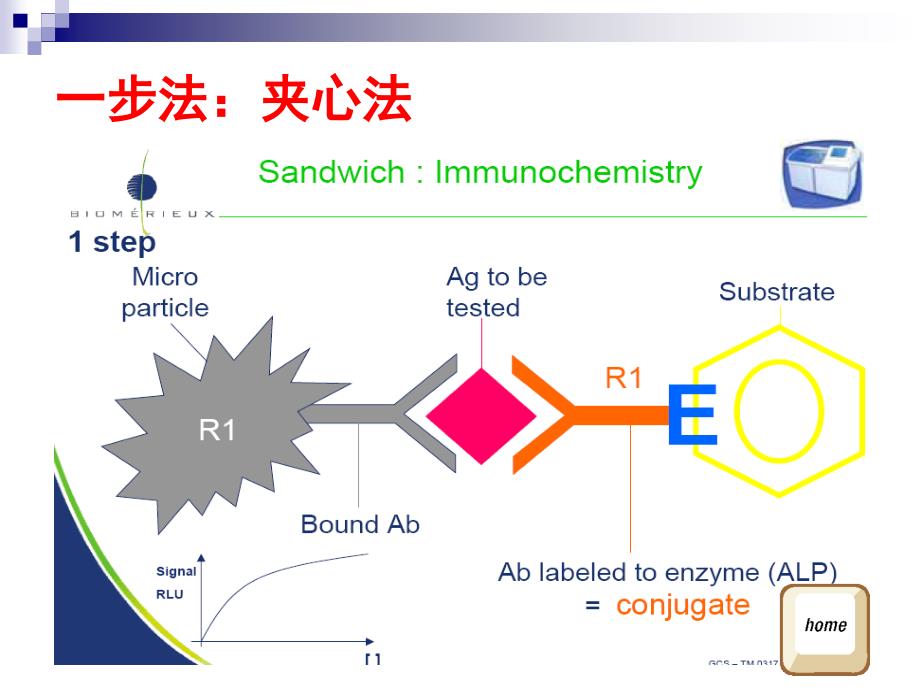 化学发光法技术概要.ppt_第4页