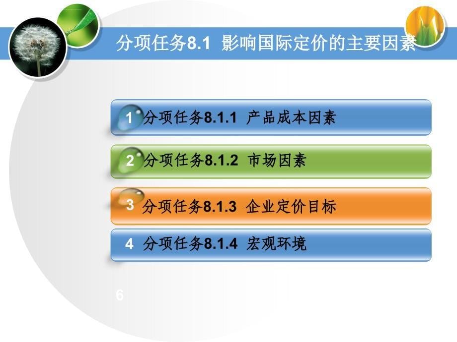 设计国际营销定价策略课件_第5页