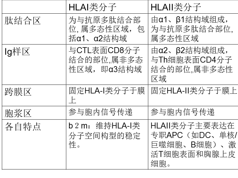 HLA分子的结构比较.ppt_第3页