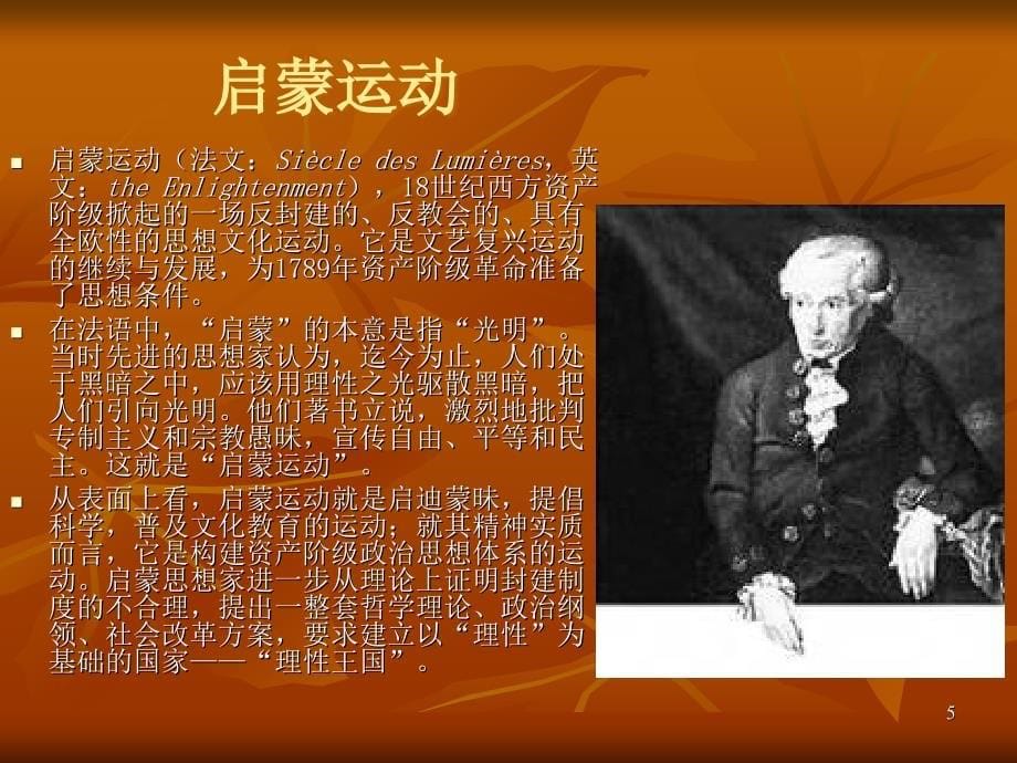 十八世纪启蒙主义文学.ppt_第5页