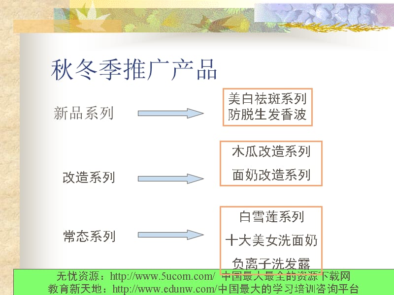 着名化妆品公司产品推广策划精编版_第2页