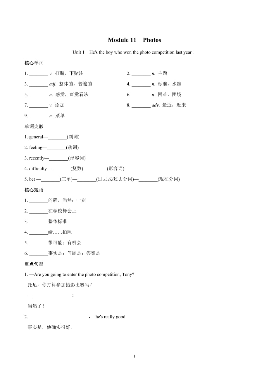 外研版九年级英语上册 Module 11　Photos 一课一练（基础）（含答案）_第1页