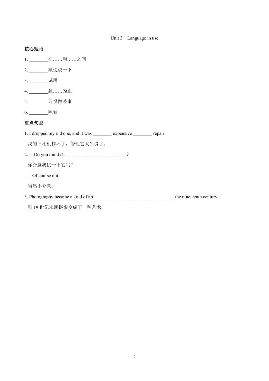 外研版九年级英语上册 Module 11　Photos 一课一练（基础）（含答案）_第5页