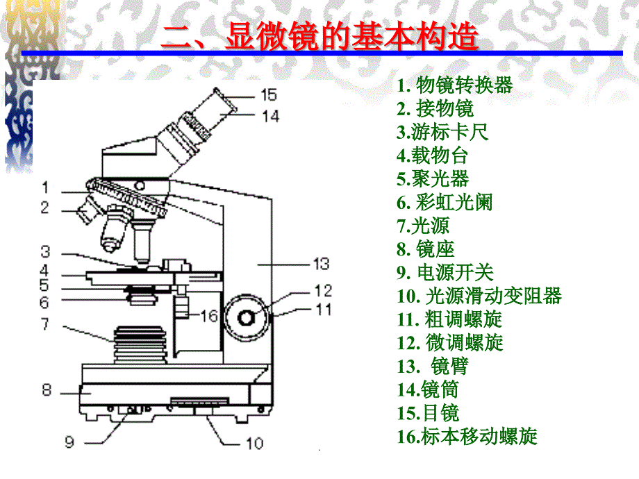 实验一 显微镜的使用及微生物形态的观察_第3页