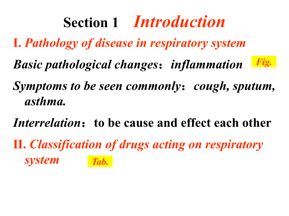呼吸系统的常用药物介绍._第1页
