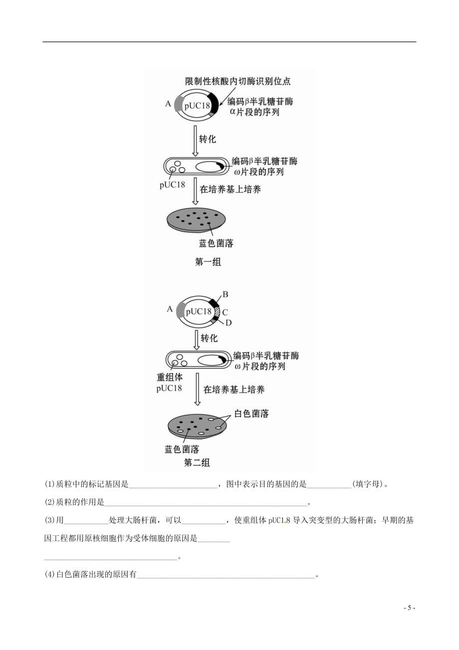 【全程复习方略】高中生物 1、2工具酶的发现和基因工程的诞生 基因工程的原理和技术课时提能演练 浙科版选修3_第5页