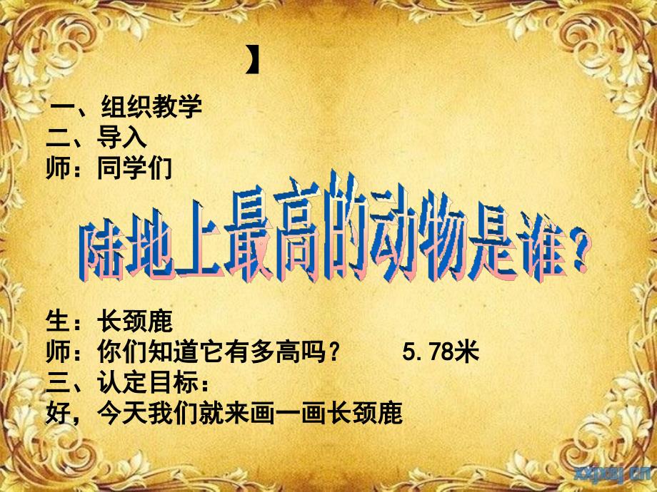 长颈鹿的美术教学PPT（最新精选编写）_第4页