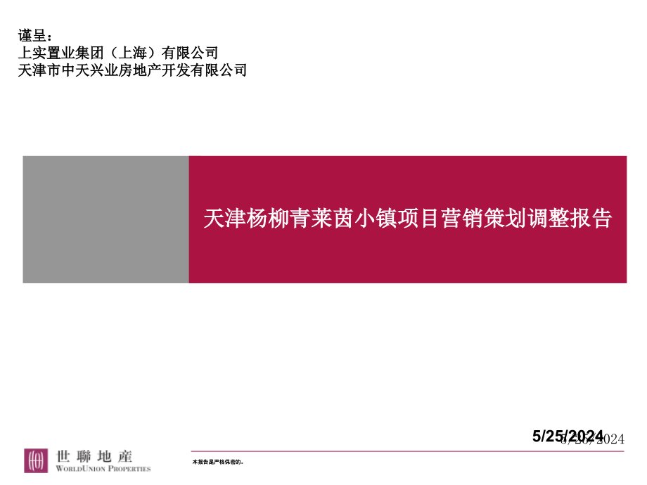 柳青莱茵小镇项目营销策划调整报告164P（最新精选编写）_第1页