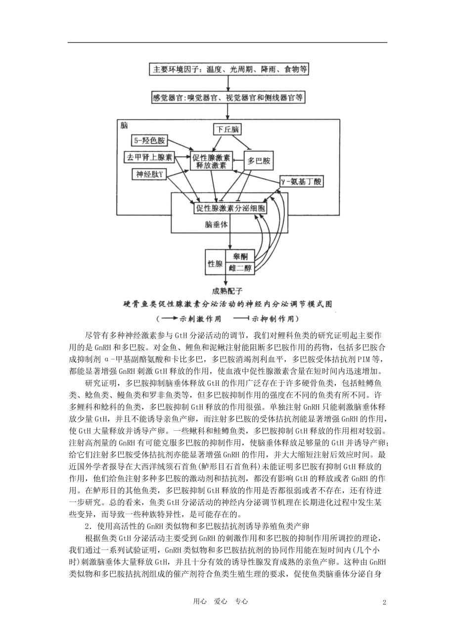 【精品】高中生物 （人教大纲版）第一册 第四章　生命活动的调节 2人和高等动物生命活动的调节(一、备课资料)_第2页