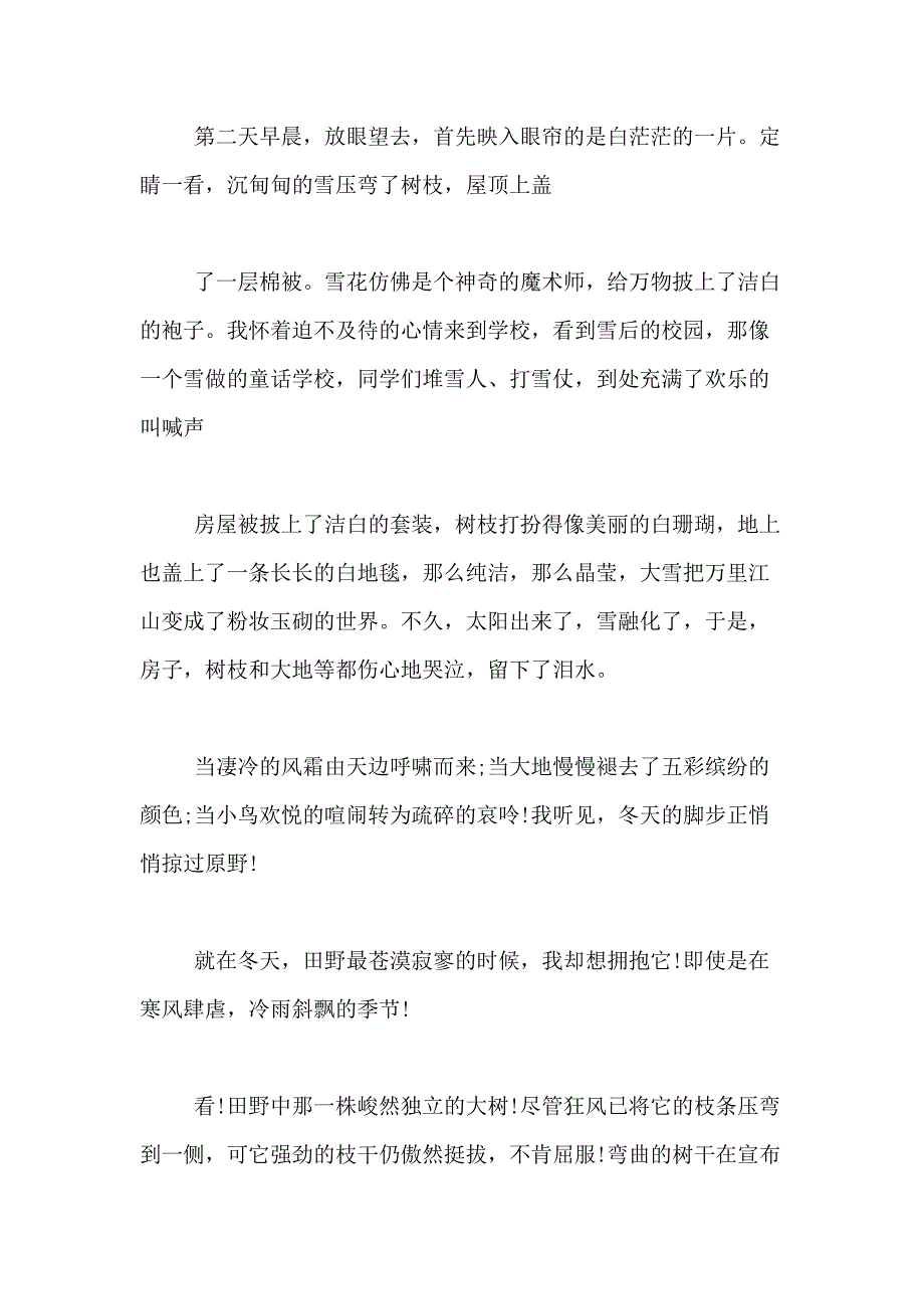 2021年【精华】小学生描写冬天小作文500字合集6篇_第4页