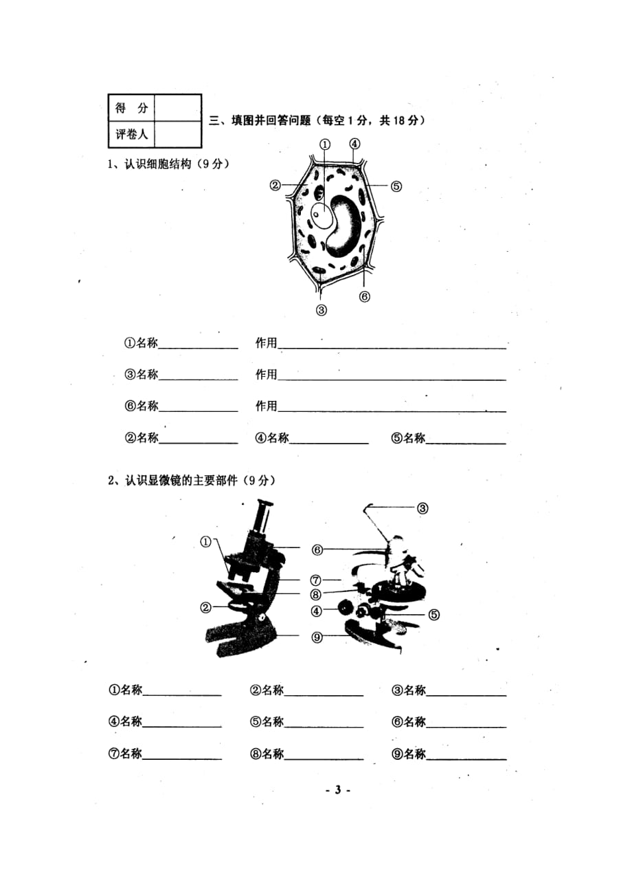 秋期七级生物期末试题（扫描版）人教版_第3页