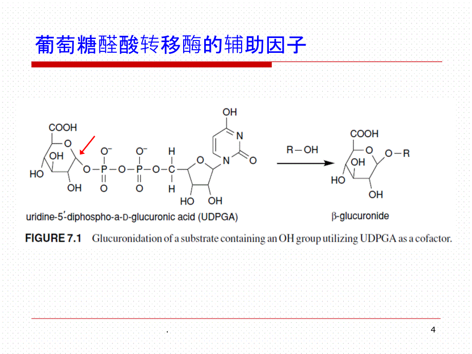 药物代谢结合反应_第4页