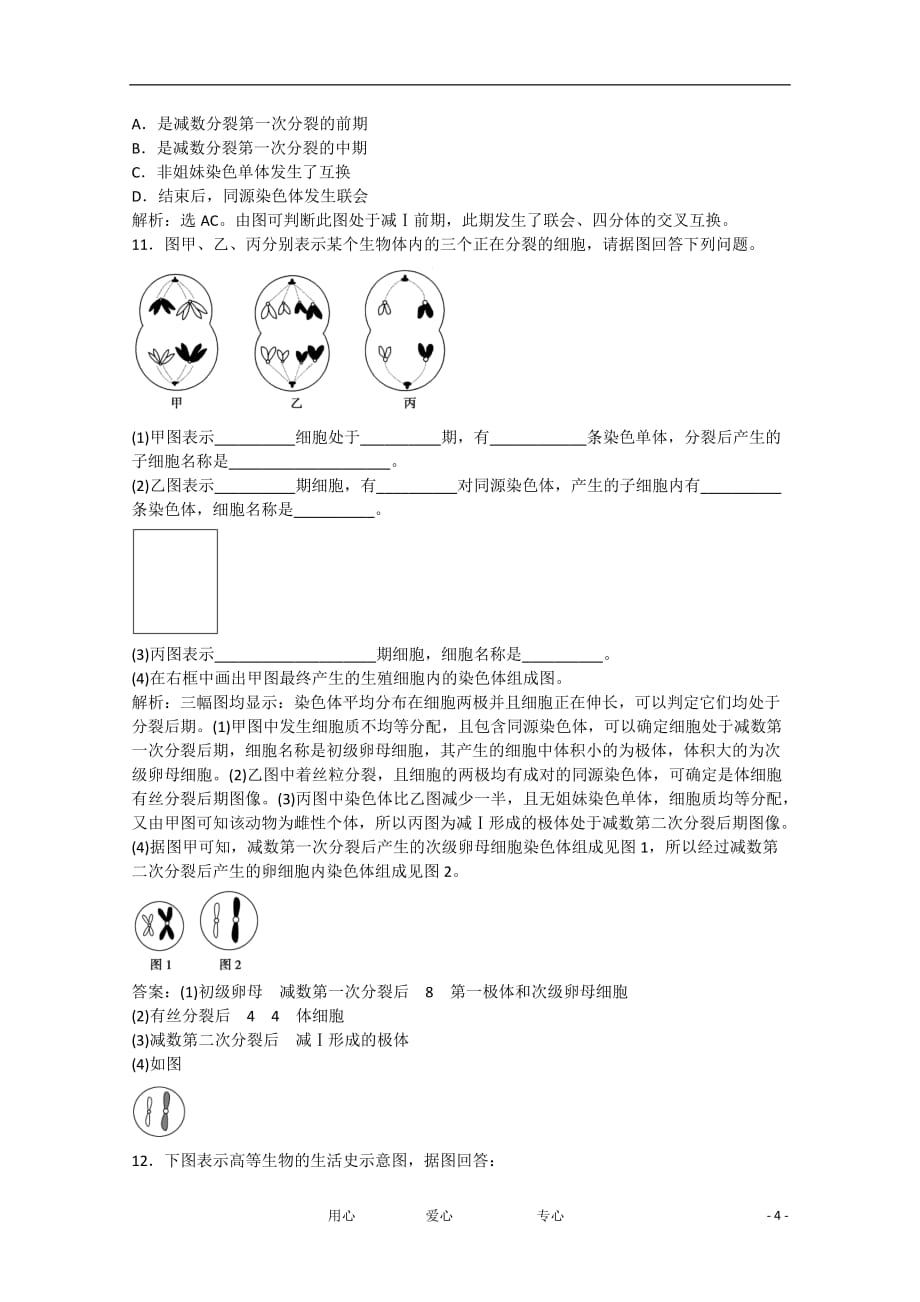 高中生物2-1 染色体是遗传信息的载体过关演练 北师大版必修2_第4页