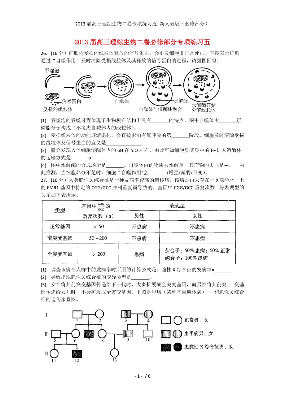 高三理综生物二卷专项练习五 新人教（必修部分）_第1页