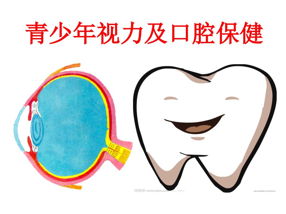 青少年视力口腔保健课件_第1页