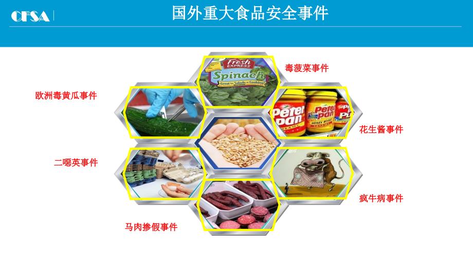 食品安全标准最新版本_第4页