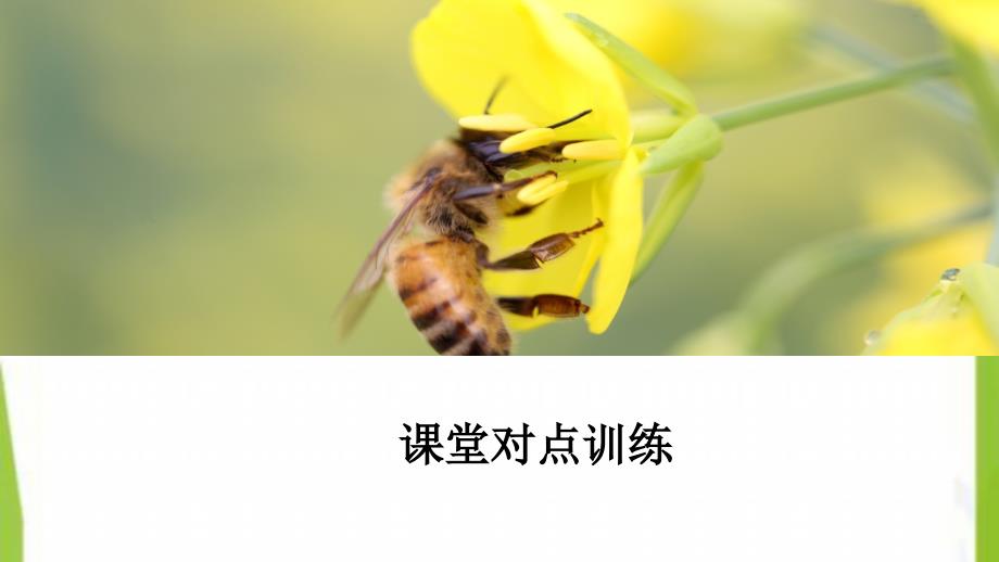 2020-2021高中生物专题3胚胎工程3.1第1课时精子和卵子的发生课件新人教版选修32_第2页