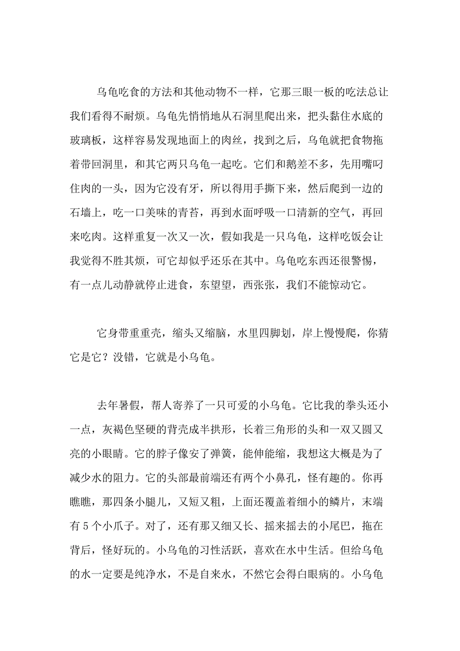 2021年【精品】小学生写乌龟的作文400字合集8篇_第2页