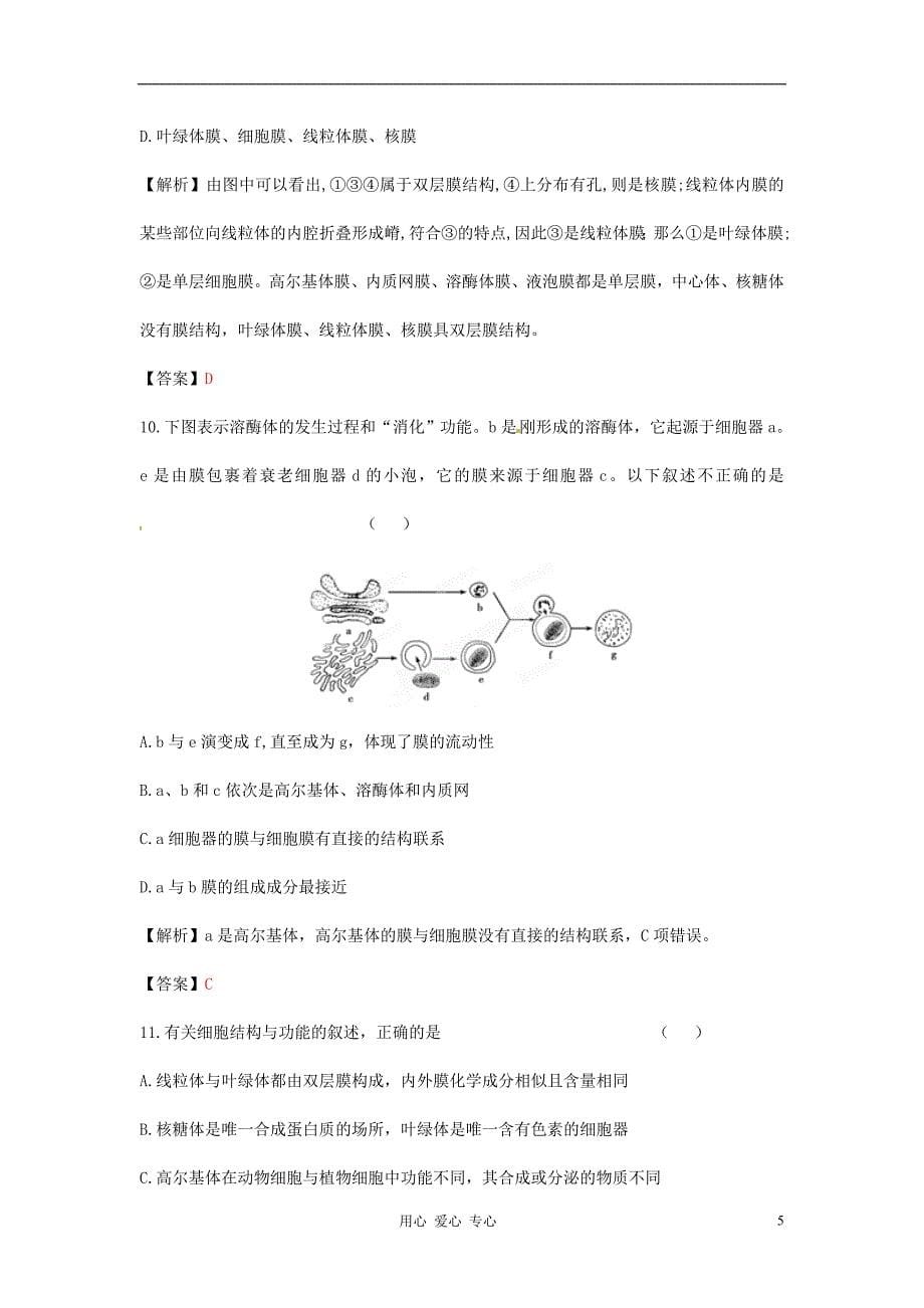 【立体设计】高考生物 第3章 第2讲 细胞器——系统内的分工合作课后限时作业 新人教版必修1_第5页