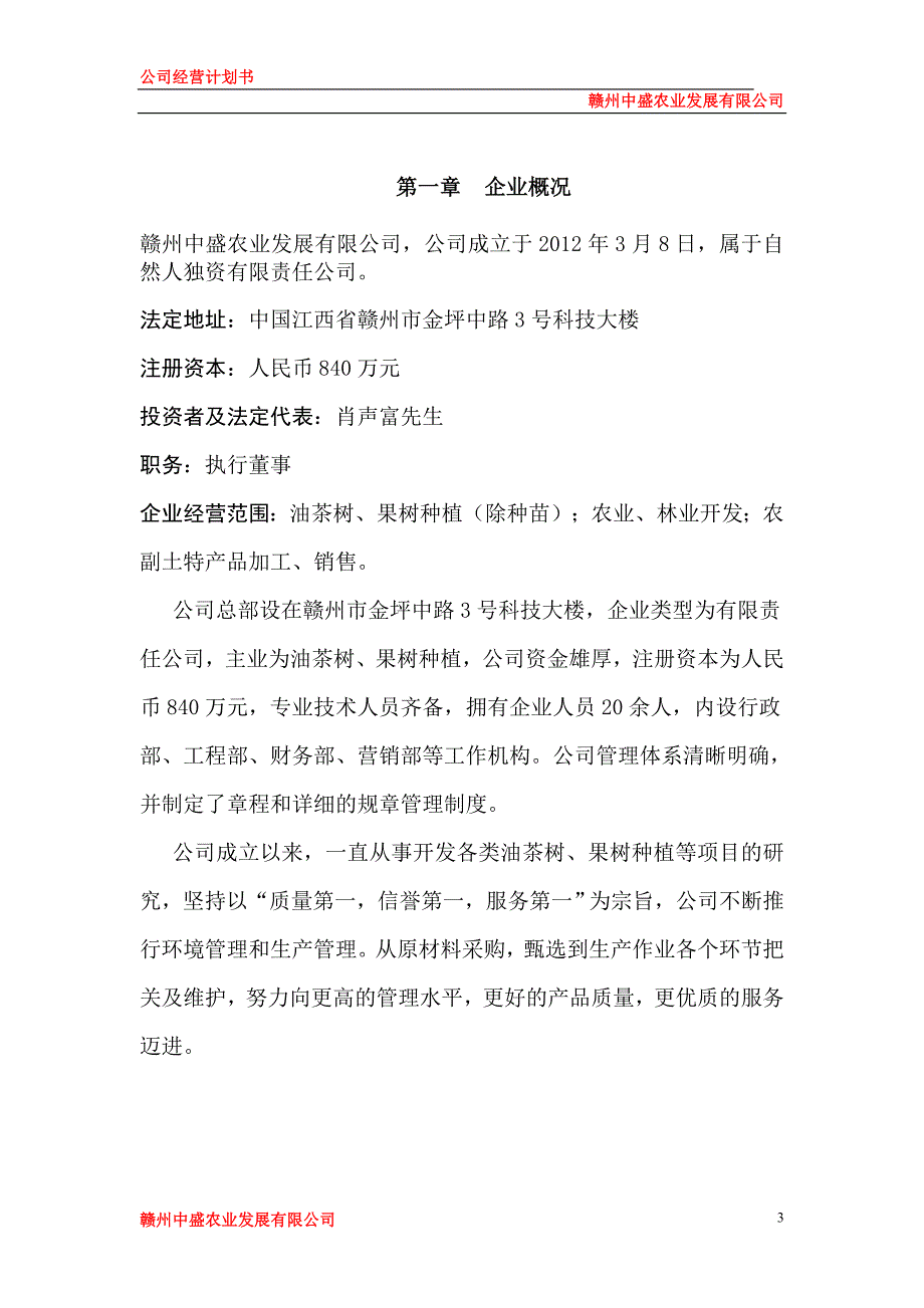 （实用）公司运营计划书模板._第3页