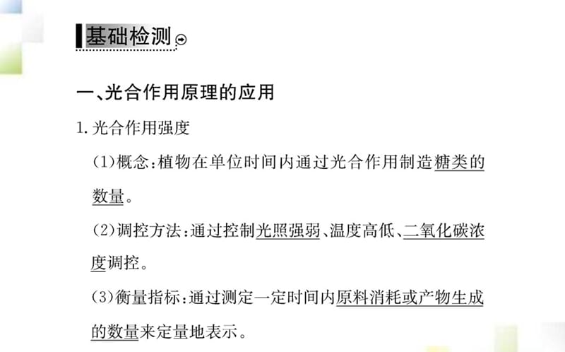 2020-2021学年高中生物第5章细胞的能量供应和利用第4节能量之源_光与光合作用二第2课时课件新人教版必修1_第3页