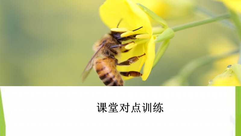 2020-2021高中生物专题3胚胎工程3.3胚胎工程的应用及前景课件新人教版选修32_第2页