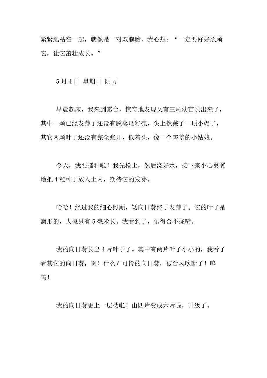 2021年向日葵的观察日记合集7篇_第2页