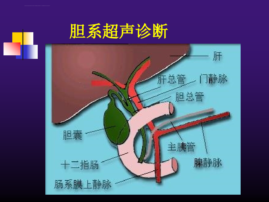 2018年胆道系统疾病超声诊断-文档资料课件_第1页