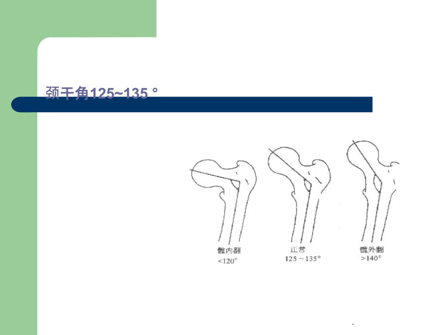 髋关节的解剖己生物力学ppt课件_第2页