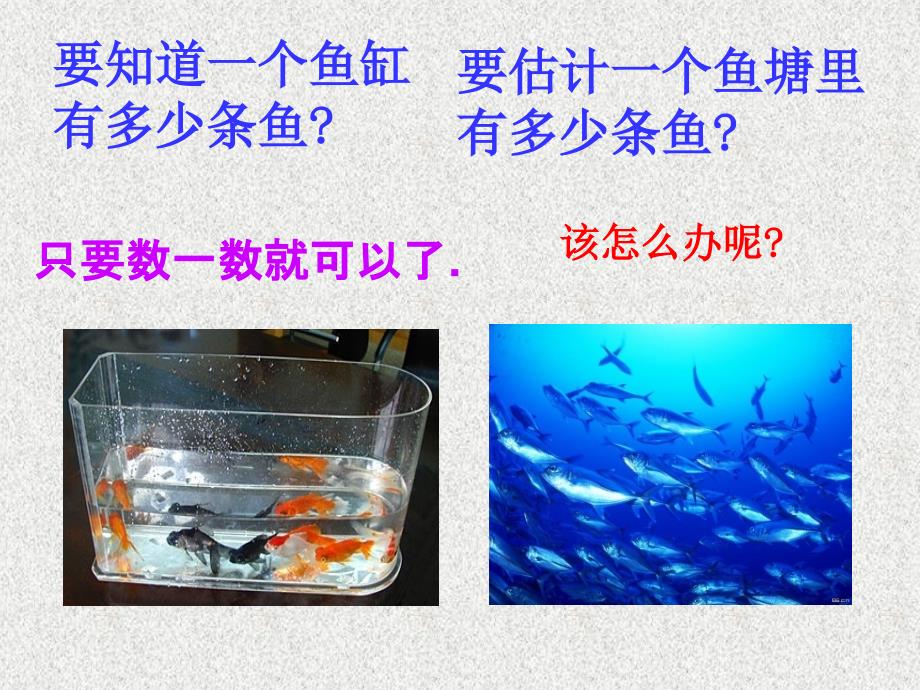 九年级上册数学（北师大版新版）课件：课题学习：池塘里有多少条鱼_第2页