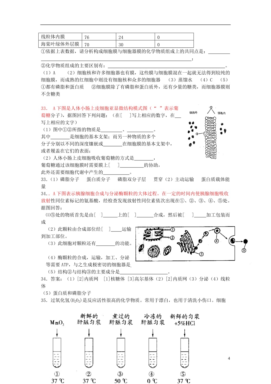 高中生物 模块综合测试（二） 新人教必修1_第4页