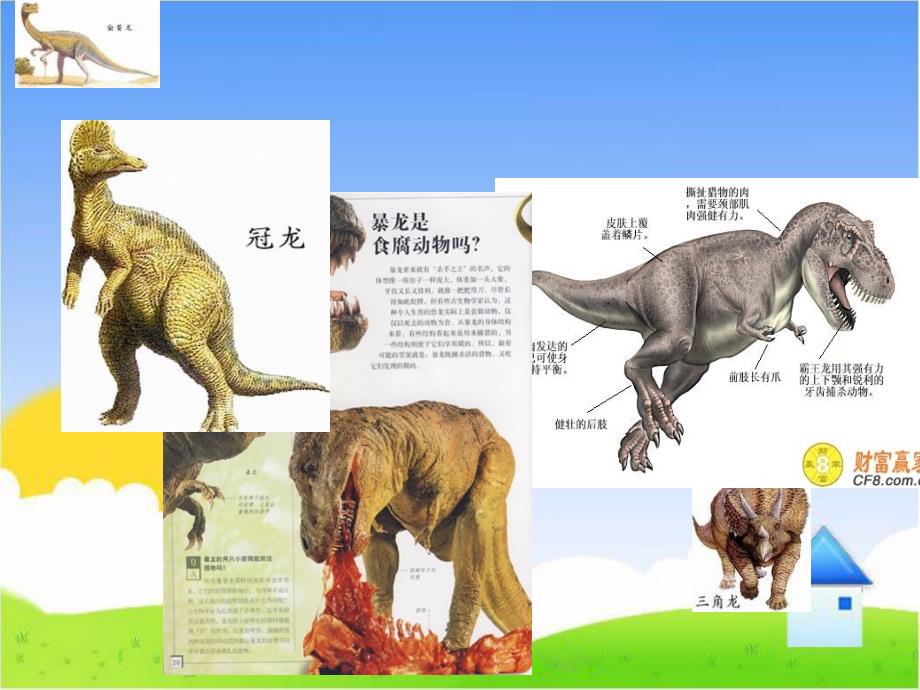 六年级下册科学课件3.1消失了的恐龙苏教25_第4页