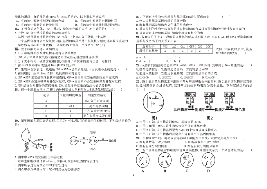 780编号高中生物必修二考试试题(含答案)_第2页