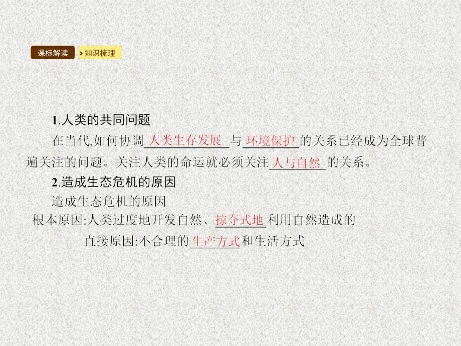 九年级政治全册 第二单元 关注自然 关注人类 第一节 共同的问题 共同的选择 第1框 日益严峻的生态危机课件 湘教版_第5页