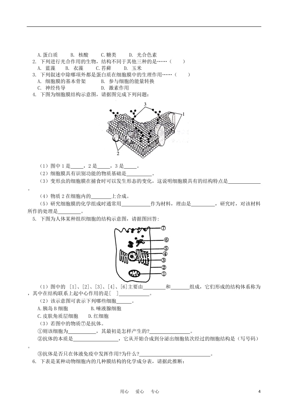 高中生物 第三章 第二节 细胞的类型和结构（一）同步练习 苏教版必修1_第4页