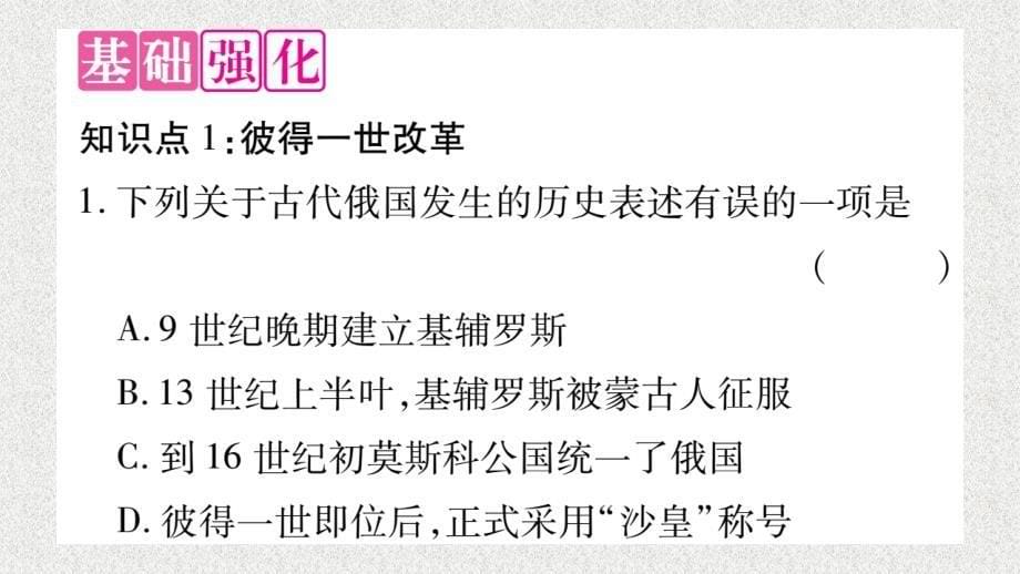 九年级历史下册 第1单元 殖民地人民的反抗与资本主义制度的扩展 第2课 俄国的改革自学课件 新人教版_第5页