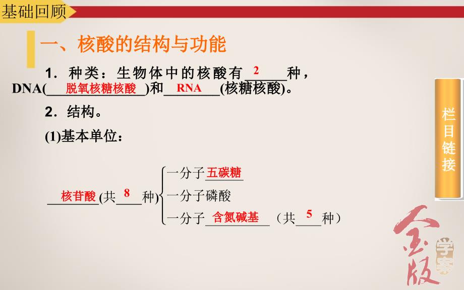 2016届高考生物一轮复习学案4遗传信息的携带者核酸 细胞中的糖类、脂质课件_第4页