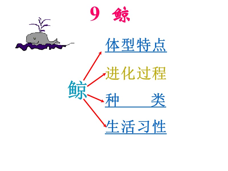 部编版五年级(上）语文鲸教学课件二_第3页