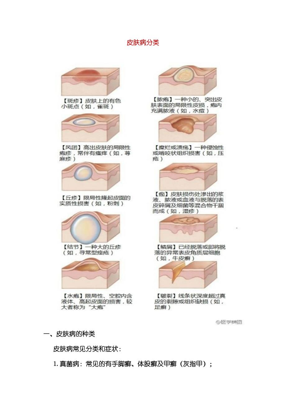 皮肤病分类._第1页