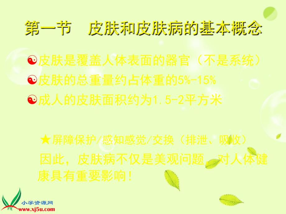 常见皮肤病的中药治疗PPT_第4页